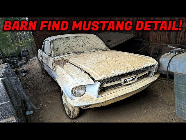 We Found The DIRTIEST Ford Mustang Sitting in a Barn....Can it be Restored?