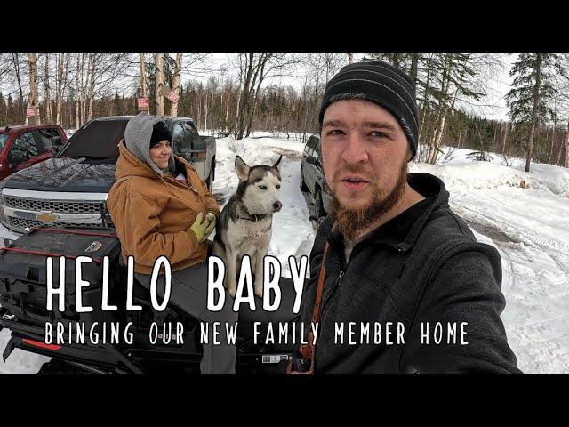 Hello Baby - Bringing our baby home