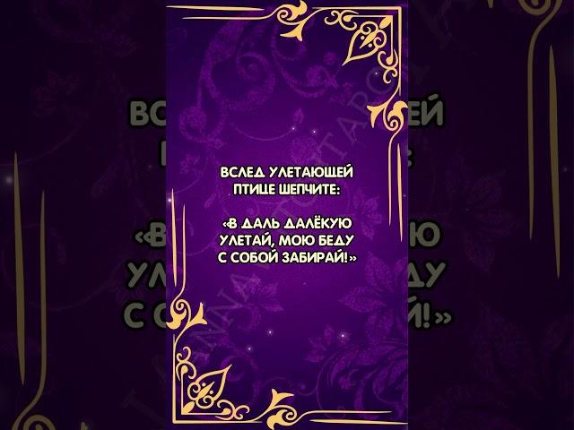 Шепоток чтобы скинуть свои беды #аннаwitchтаро #заговоры #магия #шепотки