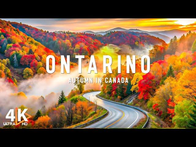 Autumn in Ontario, Canada 4K Ultra HD | Stunning Footage Ontario, Scenic Relaxation Film - VIDEO 4K