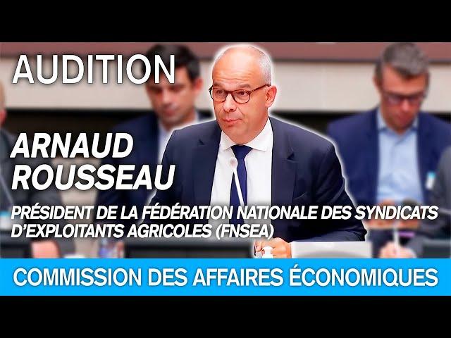 Arnaud Rousseau, président de la FNSEA, est auditionné par la commission des affaires économique