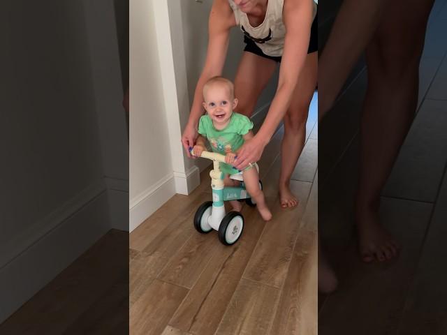 New tricycle  #stella #baby #momlife #funny #shorts #fyp