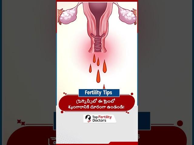Is It Safe to Have Intercourse During Pregnancy | Pregnancy Myths #pregnancytips #pregnancyjourney