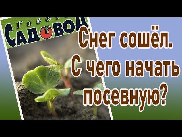 Снег сошёл. С чего начать посевную?