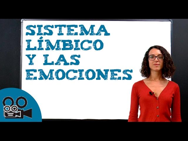 Sistema límbico y las emociones