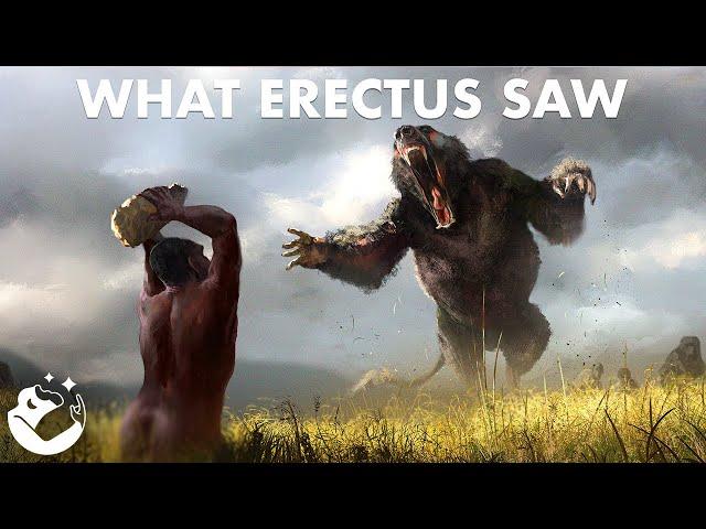 Extinct Animals Encountered by Homo Erectus (ft. ExtinctZoo)