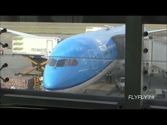 KLM |BOGOTA - CARTAGENA - AMSTERDAM| Boeing 787-9 Dreamliner |PH-BHN| Flight Report