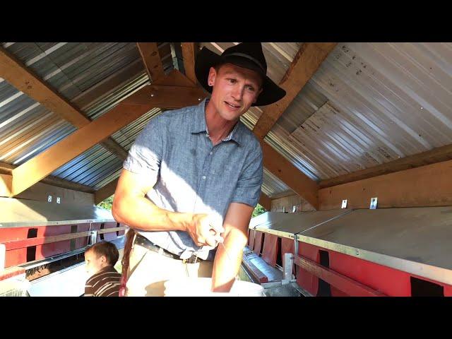 How we raise egg layers on the farm in Maine like Joel Salatin's Polyface farm!