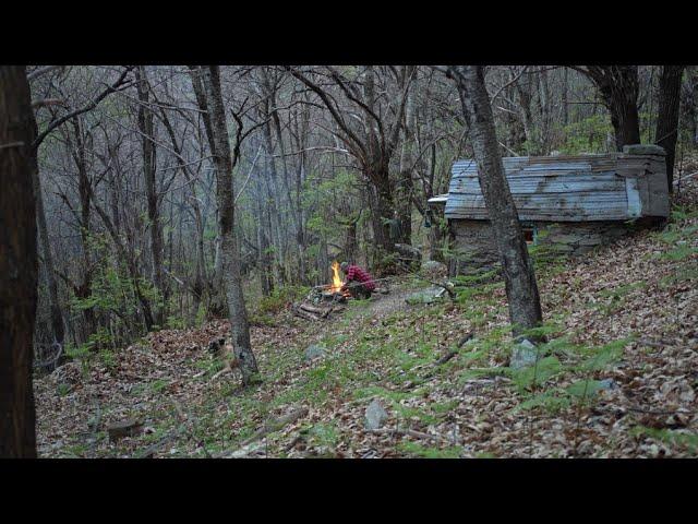 Trip in a chestnut forest. Sleeping in a 50 year old abandoned stone cottage with my dog Bonny