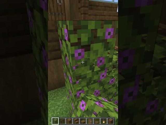 Fajny i prosty dom na początek #minecraft #minecraftbuilding #minecrafttutorial