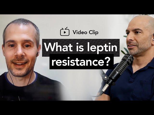 What is leptin resistance? | Peter Attia, M.D. & Stephan Guyenet, Ph.D.