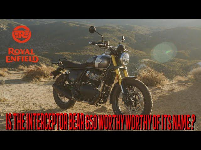 NEW 2025 ROYAL ENFIELD BEAR 650 Is this the bike should have Built in the first place?