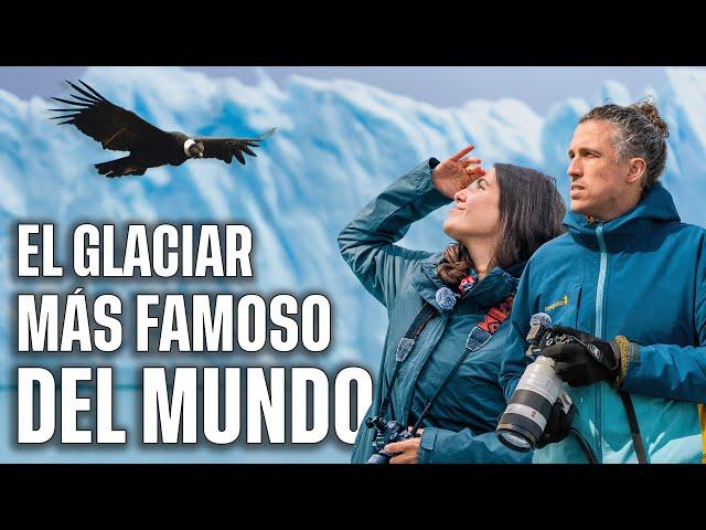 Así se ve el GLACIAR PERITO MORENO desde el agua | PATAGONIA ARGENTINA en barco