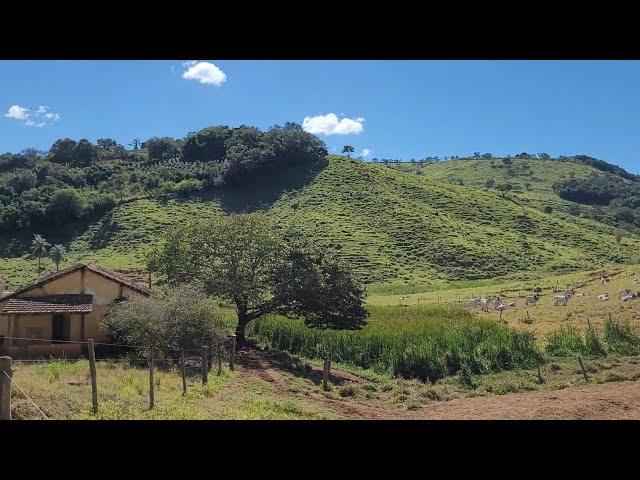 Fazenda onça e barra grande monte santo de minas