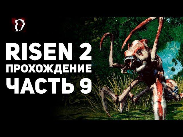 Прохождение: Risen 2 | Dark Waters | Часть 9 | DAMIANoNE