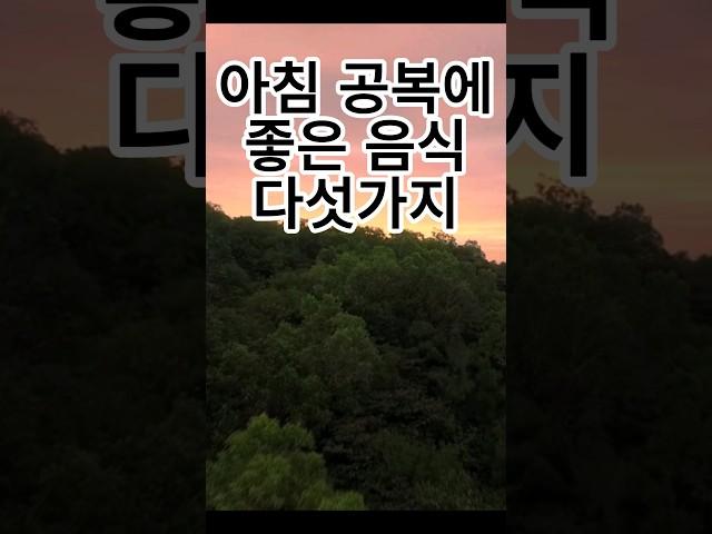 아침 공복에 좋은 음식