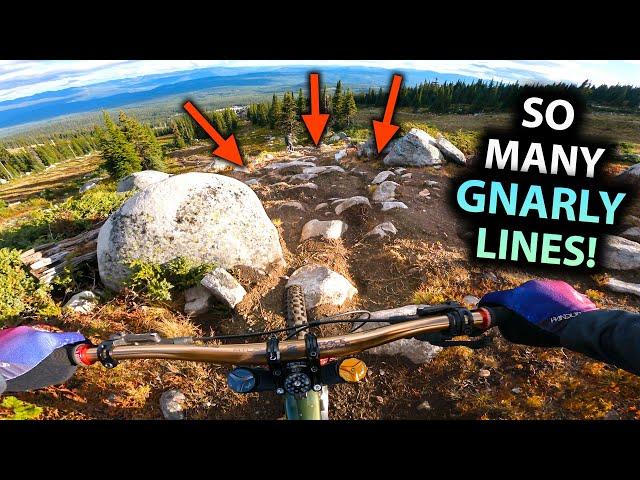 This DH Trail Almost DESTROYED ME!!... But I love it!