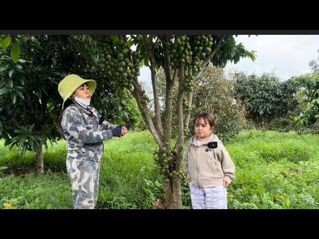 Ba Anh Em Cùng Bố Mẹ Đi Thăm Rẫy Sau Những Ngày Đi Xa || Huyền Hrê