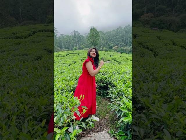 #shubham #samantha #munnar #vibe #scenary #singlemovie
