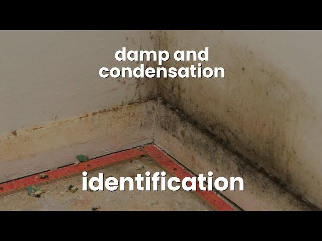 Damp and condensation - identification