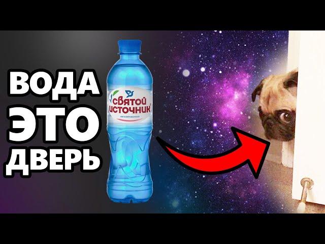 DAWG - вода это ДВЕРЬ! Включаем мозг, ребята