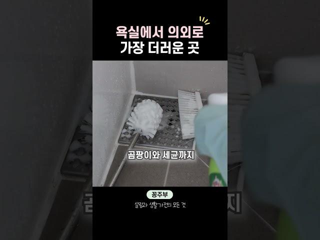 욕실 변기솔 초간단 세척법 3가지🪣