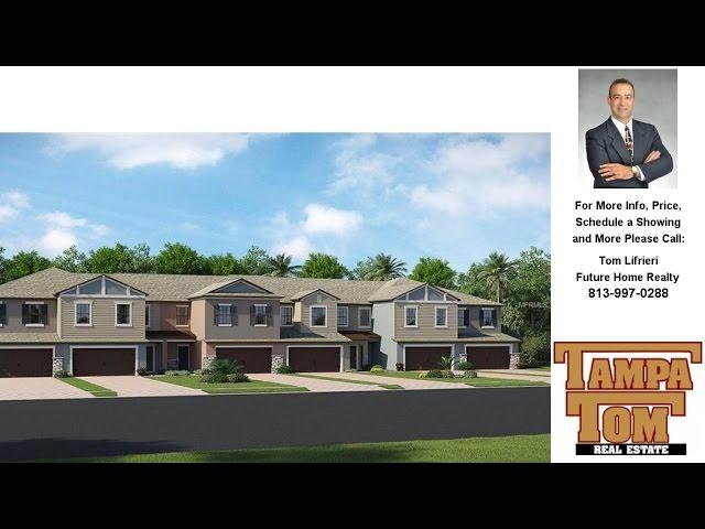 17322 Old Tobacco Road, Lutz, FL Presented by Tom Lifrieri.