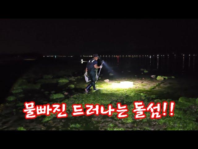 발아래 팔뚝만 한 것들이 넘쳐나는 돌섬, 여기는 미쳤습니다 +먹방 / ft. 가경주로뎀펜션