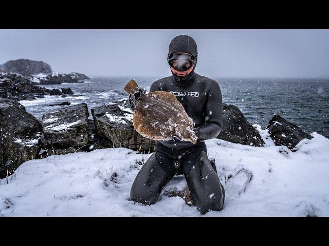 When is it too COLD? Spearfishing Remote Arctic Norway  in Winter.