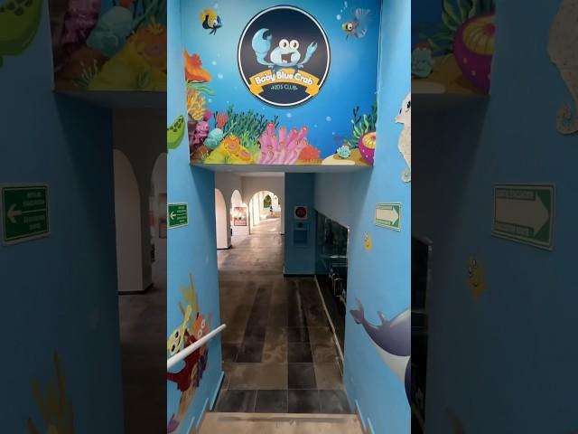 A world of fun awaits to the little guests in our #KiddOZone  | The Sens Cancun | #OasisLovesU