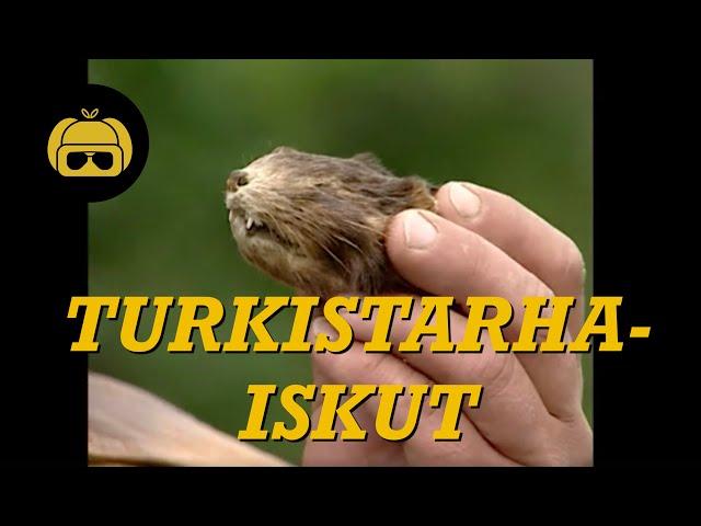 Turkistarha-iskut | Karpolla on asiaa