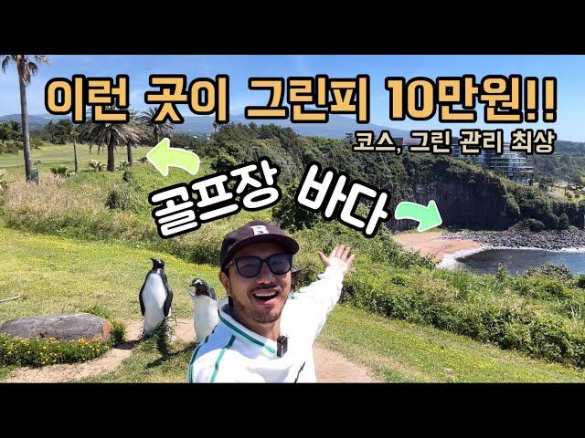 제주 바다풍경 골프장이 10만원!! 코스관리 최상! 오랜 구독자분과 라운드!