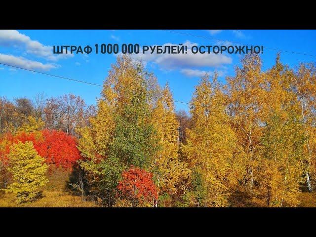 Можно ли копать с металлоискателем? Штраф 1 миллион!