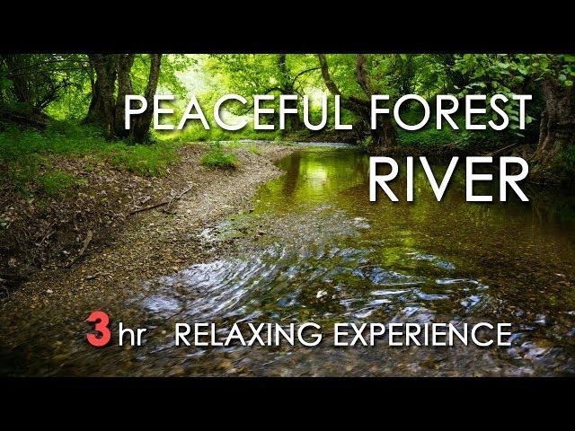 Relaxing River Sounds - Peaceful Forest River - 3 Hours Long - HD 1080p - Nature Video