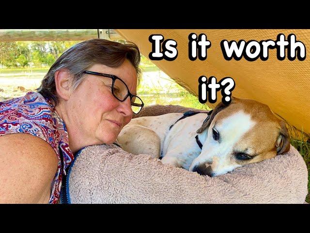 PROS AND CONS of VAN LIFE WITH a DOG |Solo Female Van Life