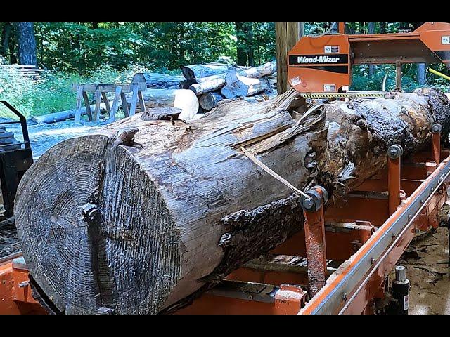 Can we sawmill some boards from this Hemlock?