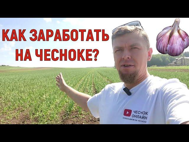 МЕХАНИЗАЦИЯ - ПУТЬ К ФИНАНСОВОЙ СВОБОДЕ!