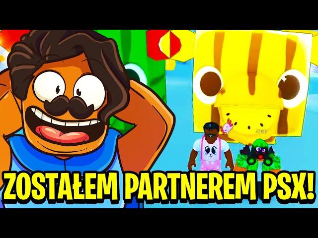 ZOSTAŁEM PARTNEREM PET SIMULATOR X! * EGG BATTLE w/ * @BuildIntoGames    *