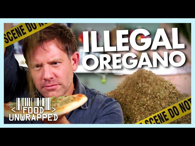 A look into the Shady World of Illegal Oregano | Food Unwrapped