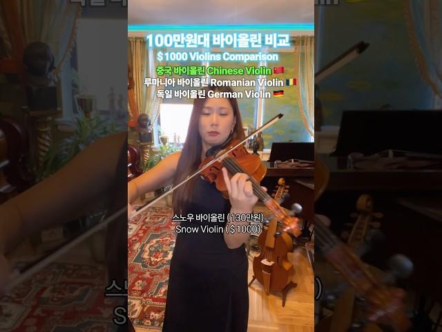 100만원대 바이올린 비교 -  고급 취미 바이올린에게 추천!
