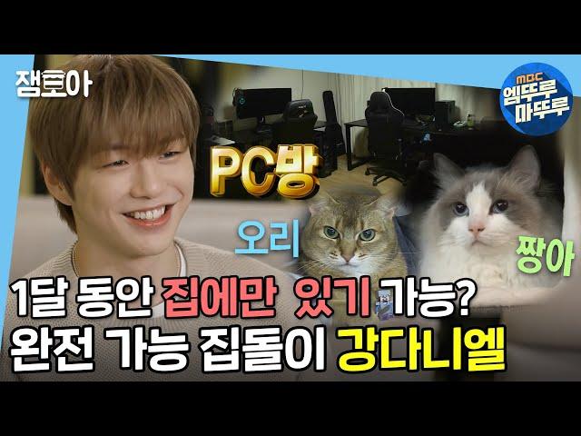 [나 혼자 산다] 고양이부터 PC방까지 다녤이 왜 집돌이인지 알겠다(*ฅ́˘ฅ̀*)  | #강다니엘 #엠뚜루마뚜루 MBC210423 방송