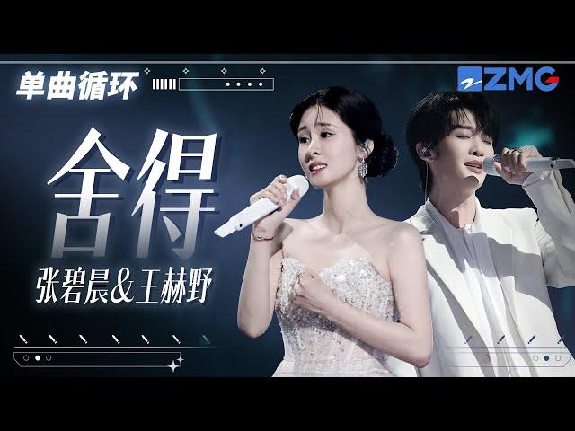 1h 单曲循环张碧晨王赫野《舍得》唱出心碎的痛感「 用尽伤人的话去说 都没想能不能收得回啊」#天赐的声音6 20250507