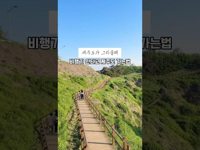 영종도에 위치한 예단포둘레길🫶