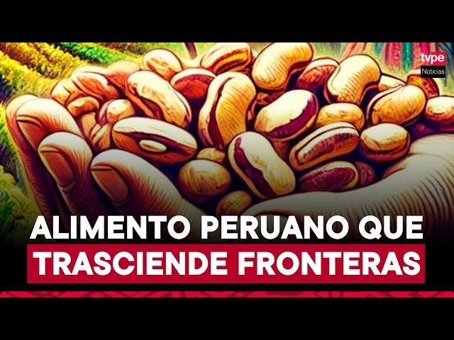 Todo sobre el pallar, el superalimento peruano que conquista el mercado internacional