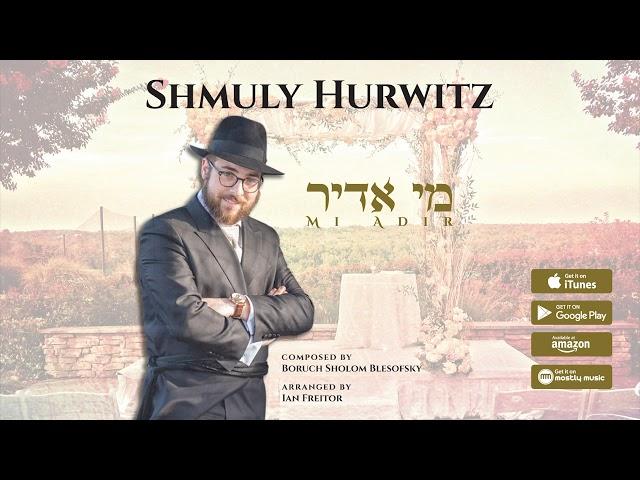 Mi Adir - Shmuly Hurwitz [Official Audio] מי אדיר - שמולי הורוויץ