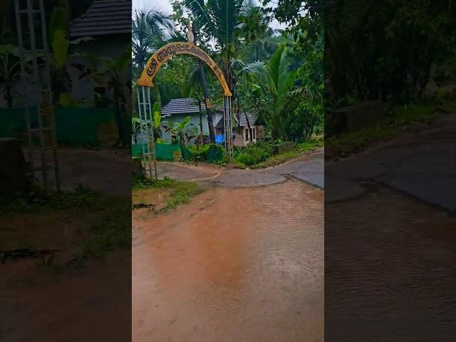 Exploring My Village in the Rain #trending #trendingreels #viralvideos #monsoon #kerala #nostalgia