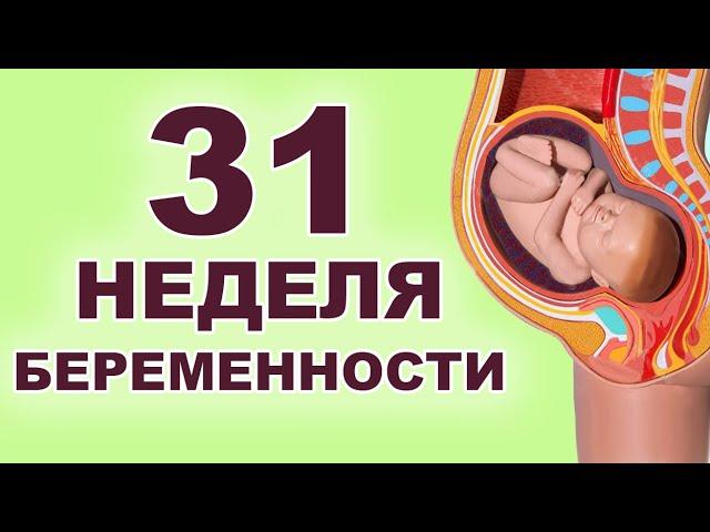 Что происходит с ребенком и мамой на 31 неделе беременности? 7 месяц беременности. Третий триместр.