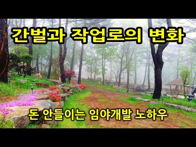무상 정부지원금 5가지로 임야개발이 가능하다.