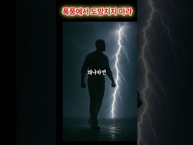 당신은 피하면 안된다 #오늘의명언 #지식 #쇼펜하우어 #동기부여 #삶의지혜 #자기계발 #인생조언 #니체명언 #철학명언