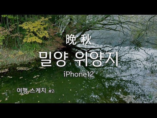 가을. 밀양 위양지 스케치. Miryang. 密陽 位良池 車泊旅行. iPhone12 movie.